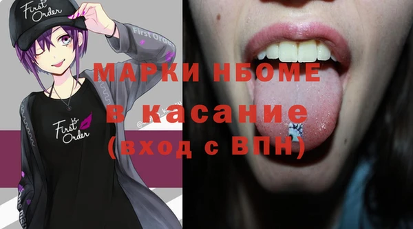 шишки Инсар