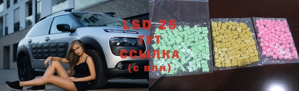 альфа пвп Инта