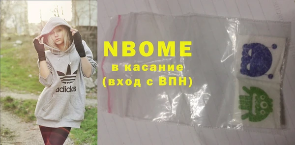 шишки Инсар