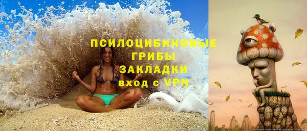 шишки Инсар
