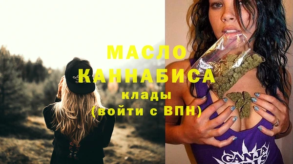 шишки Инсар