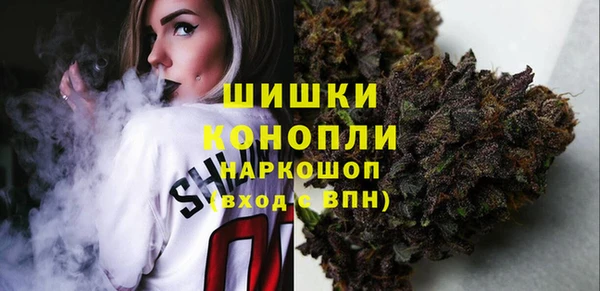 шишки Инсар