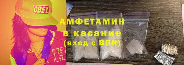 шишки Инсар