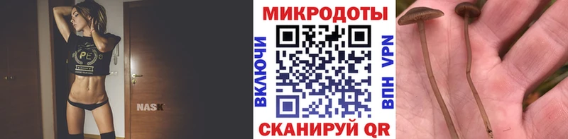 Купить закладки  Ипатово  Псилоцибиновые грибы MAGIC MUSHROOMS 